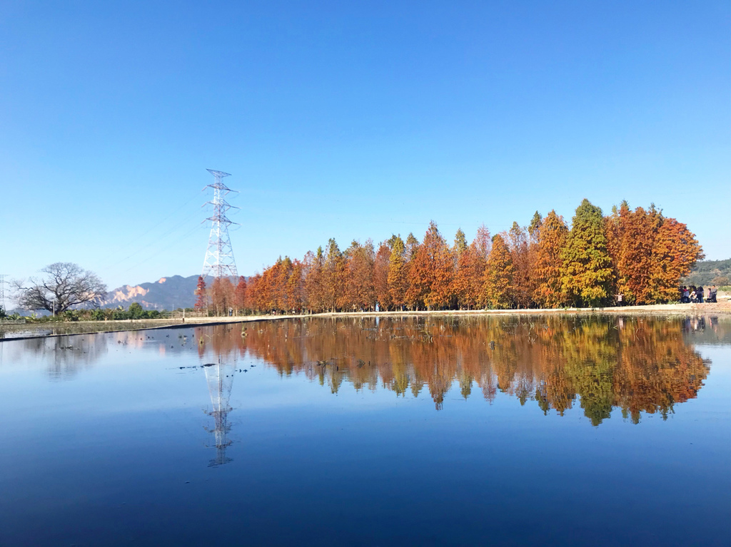 IMG_1582.jpg IMG_1582.jpg