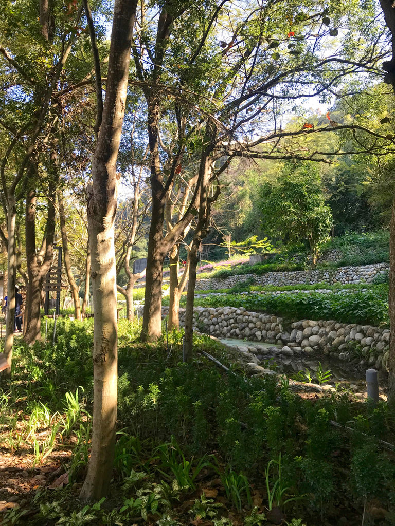 IMG_1484.jpg IMG_1484.jpg