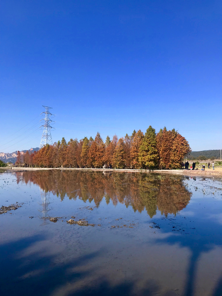 IMG_1501.jpg IMG_1501.jpg