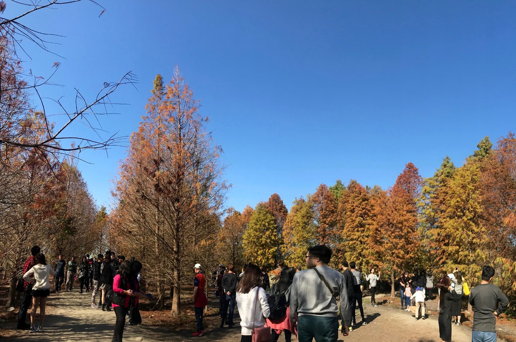 IMG_1516.jpg IMG_1516.jpg