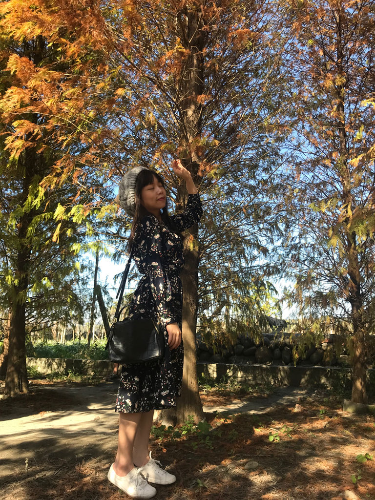 IMG_1539.jpg IMG_1539.jpg