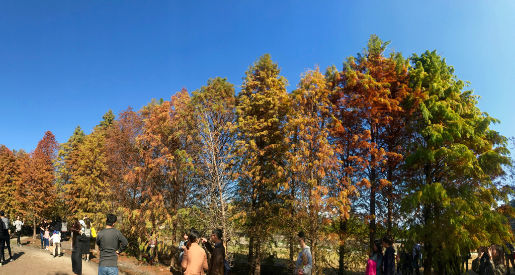 IMG_1516.jpg IMG_1516.jpg