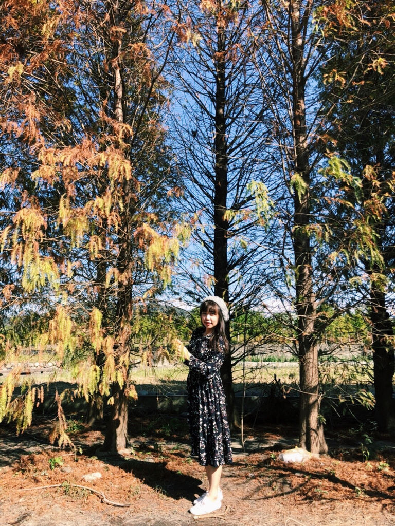 JYQZ1402.jpg JYQZ1402.jpg