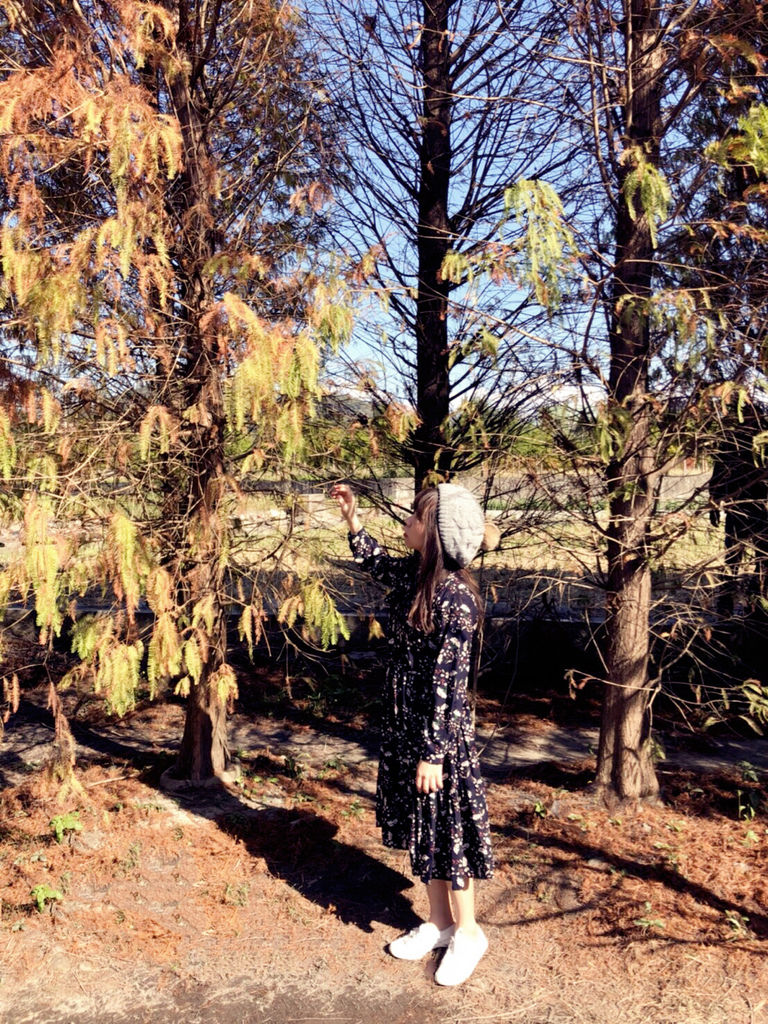 IMG_1615.jpg IMG_1615.jpg