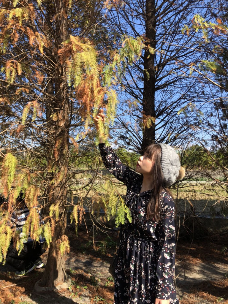 IMG_1609.jpg IMG_1609.jpg