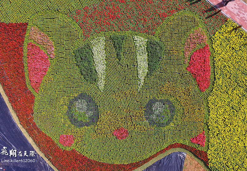 PhotoGrid_1482071619138