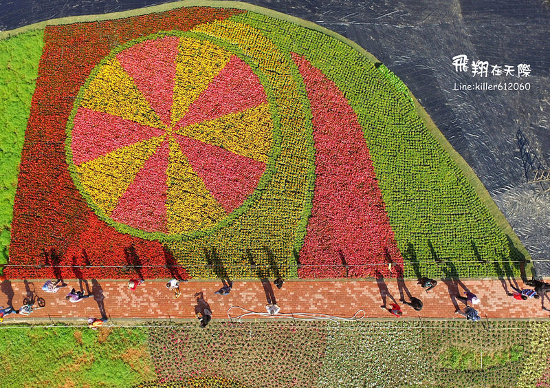 PhotoGrid_1482071560585