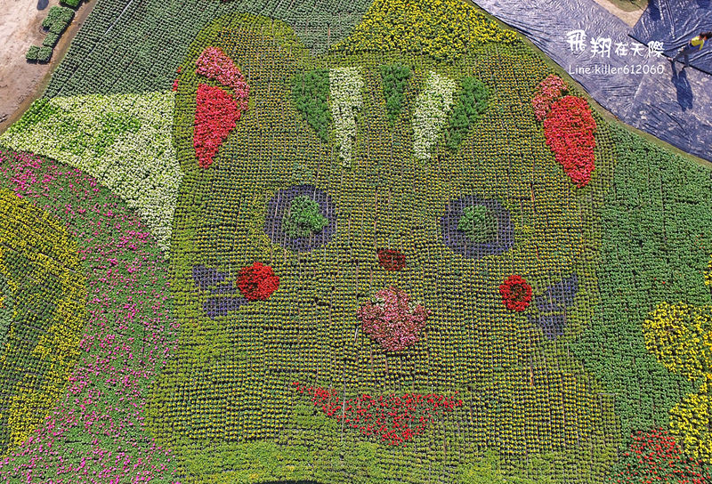 PhotoGrid_1482071655541