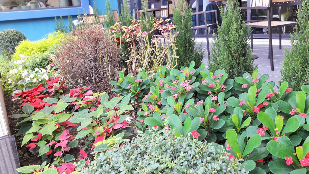 20161212_114729.jpg 20161212_114729.jpg