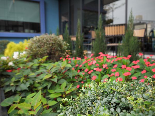 【台南市-新營區】用歐法的料理靈魂,融入帶著英式的美味餐點!『Le marée拉蔴里』記憶中讓人感動的美味~