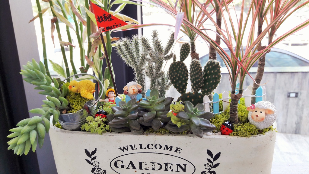 20161212_115128.jpg 20161212_115128.jpg