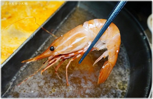 悅上引鍋物料理：台中西屯』悅上引鍋物料理║秋紅谷美食。嚴選精緻食材，平日全面餐點79折、啤酒買一送一透沁涼