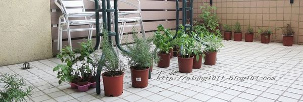 唇義義大利餐酒館：愛上義大利的食物就從這裡開始~   ..台南唇義義大利餐酒館