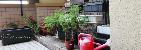 唇義義大利餐酒館：愛上義大利的食物就從這裡開始~   ..台南唇義義大利餐酒館