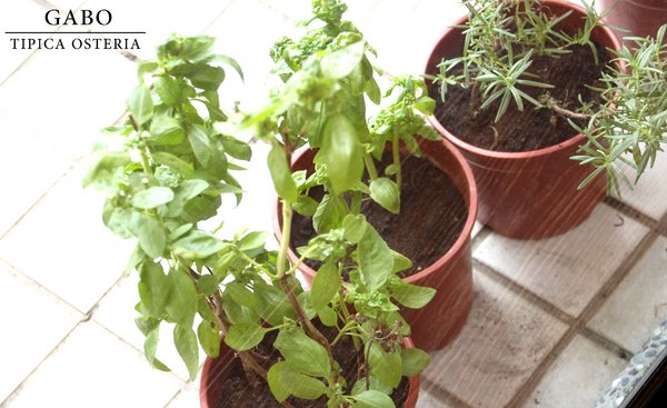 cm20170112___f9fb7e2228ef7f49849044d7299 cm20170112___f9fb7e2228ef7f49849044d7299