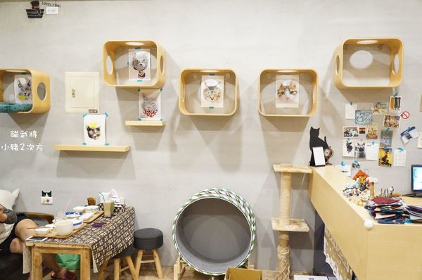 1025 貓武將二訪_4873_结果.jpg