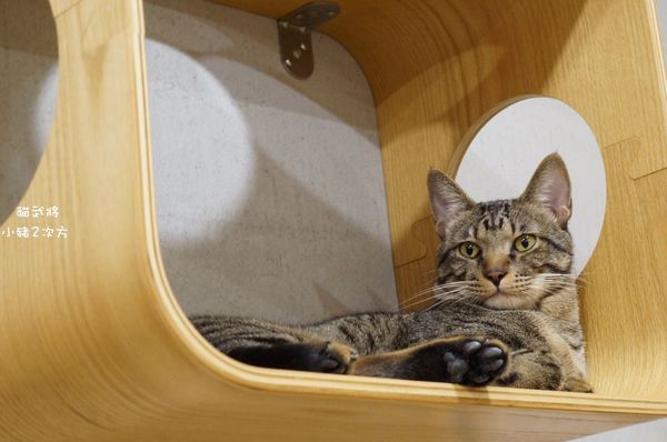 1025 貓武將二訪_1727_结果.jpg