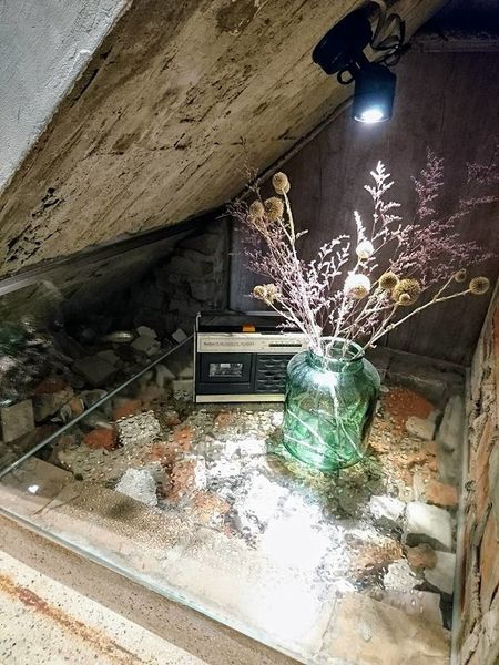 25550175_1723540767677605_6657850349439793279_n