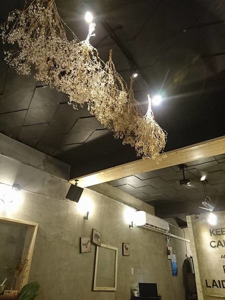 19400158_1547445035287180_211570774567521101_n