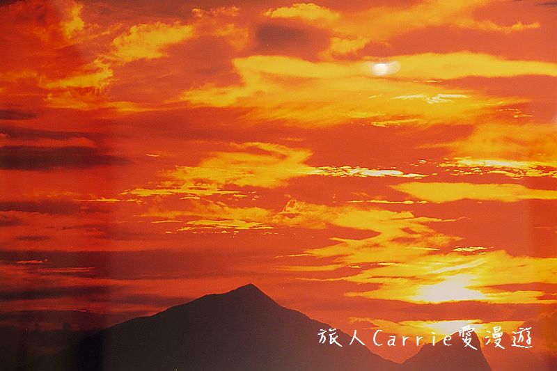 宜蘭悅川酒店(The Walden)【宜蘭住宿】～龜山島海景房‧親子套房專屬樓層‧最文青的圖書館飯店‧羅琳美食餐廳Buffet