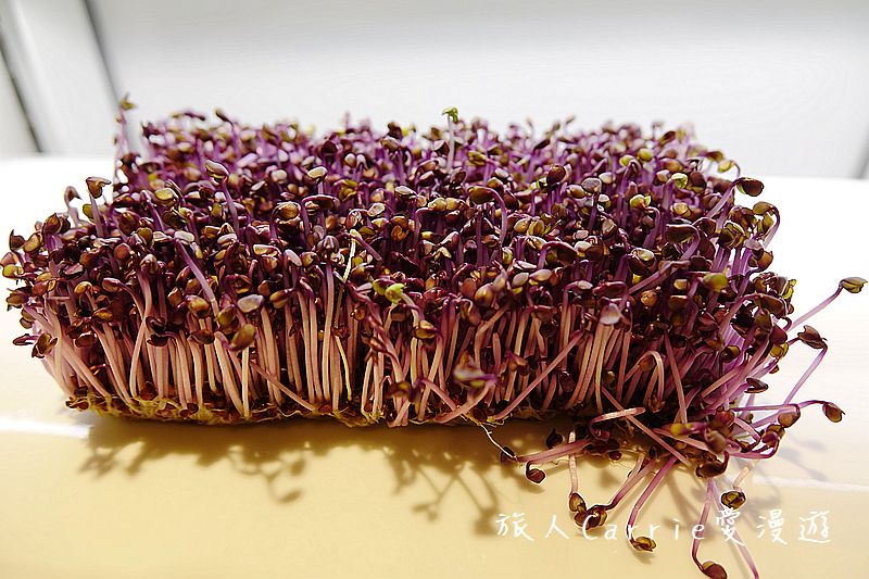 宜蘭悅川酒店(The Walden)【宜蘭住宿】～龜山島海景房‧親子套房專屬樓層‧最文青的圖書館飯店‧羅琳美食餐廳Buffet