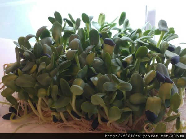 20161226_111910.jpg 20161226_111910.jpg