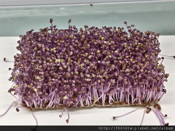 20161226_111900_HDR.jpg 20161226_111900_HDR.jpg