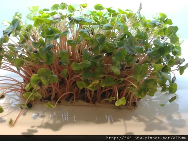 20161226_111917.jpg 20161226_111917.jpg