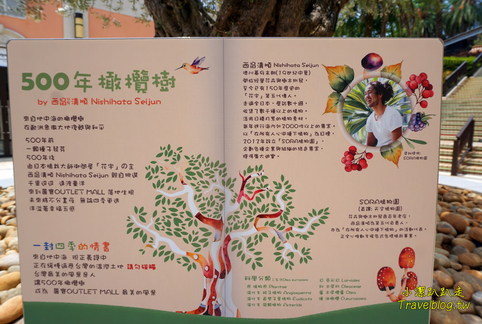 台中冰店推薦|台中麗寶Outlet Mall-少女夢幻系散步甜食!CAPATINA 義大利冰淇淋,無脂果霜冰淇淋好吃.低熱量.無反式脂肪又沒負擔~ - 小潔趴趴走(台灣旅遊)