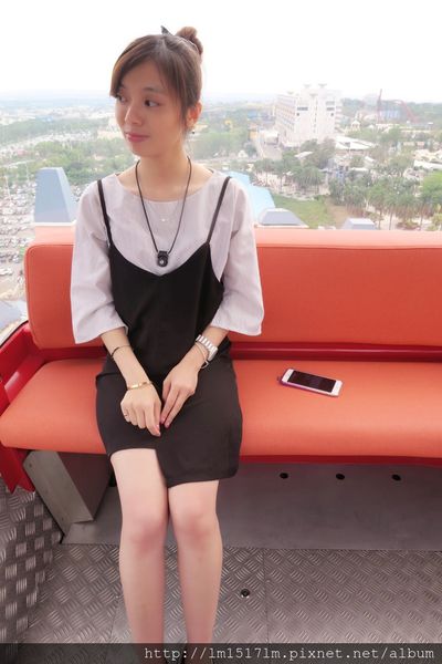 天空之夢sky dream 摩天輪 (78).jpg