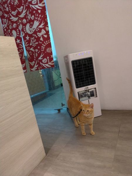 2019629_190629_0003.jpg 2019629_190629_0003.jpg