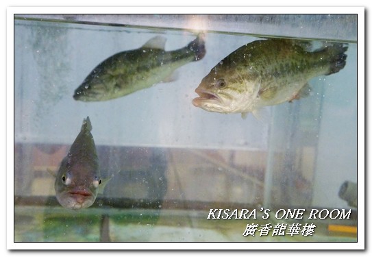 廣香龍華樓餐廳:板橋港式飲茶吃到飽/尾牙年菜.在地人方知道地港式茶點──廣香龍華樓餐廳