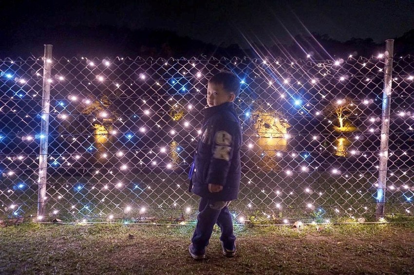 美翻了‼ 2020碧潭水舞登場(2020/2/14~2020/04/12)，只有碧潭能超越碧潭！漩渦造型水舞、鳳凰水舞、粉紅愛情燈廊，小吃美食一次滿足。