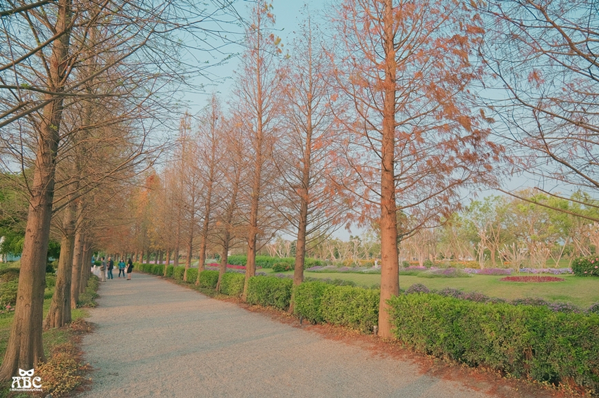 彰化一日遊|秒飛日本!偽出國景點|成美文化園,網美照拍好拍滿!