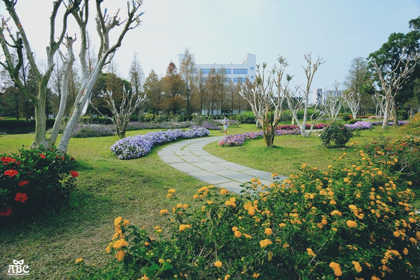 彰化一日遊|秒飛日本!偽出國景點|成美文化園,網美照拍好拍滿!