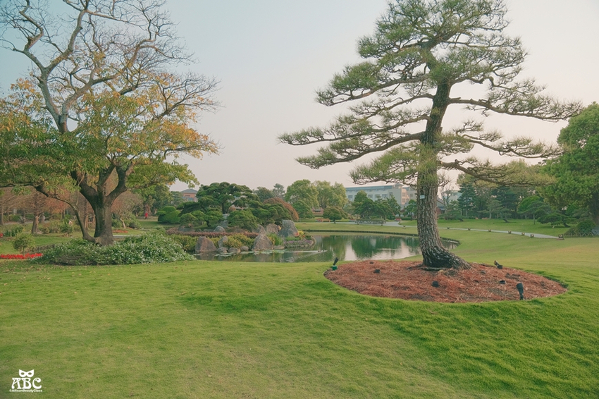 彰化一日遊|秒飛日本!偽出國景點|成美文化園,網美照拍好拍滿!
