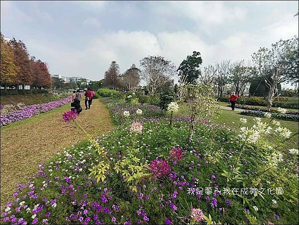成美文化園07.jpg
