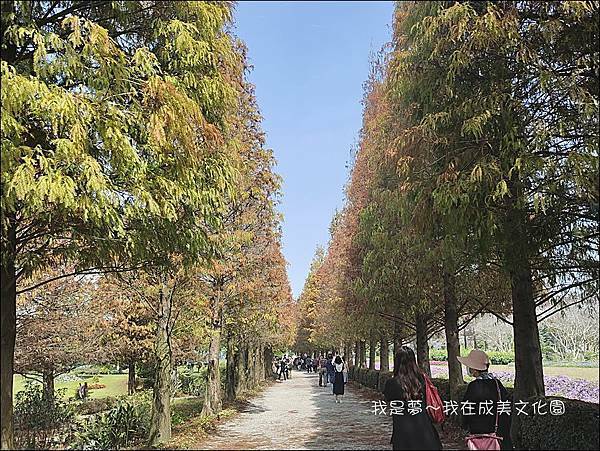 成美文化園40.jpg