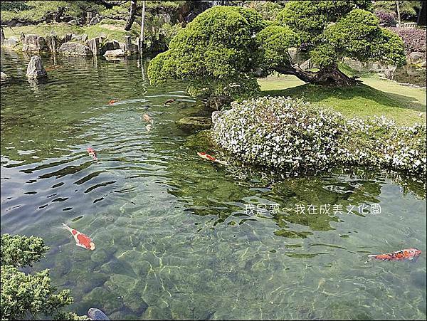 成美文化園22.jpg