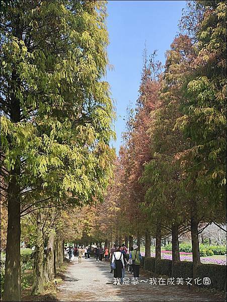 成美文化園39.jpg