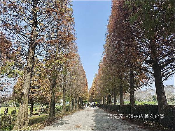 成美文化園42.jpg