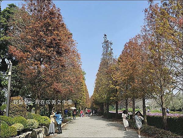 成美文化園38.jpg