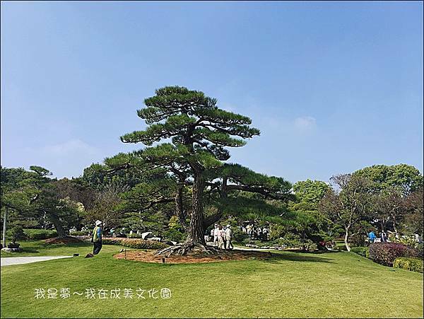 成美文化園45.jpg
