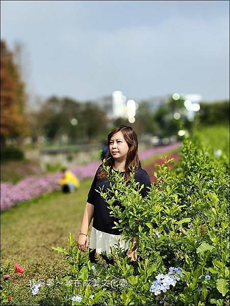 成美文化園08.jpg