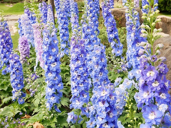 cm20190226___d3ee1f3d815100dc6210b9951e0