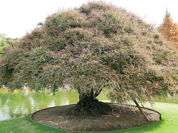 cm20190226___c3f8b885cd895ac1fd0a2456279