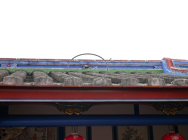 cm20190226___639081aef4580a692e4b71e9bda