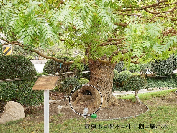 cm20190226___96d980927c3c6d3af4e1096fc28