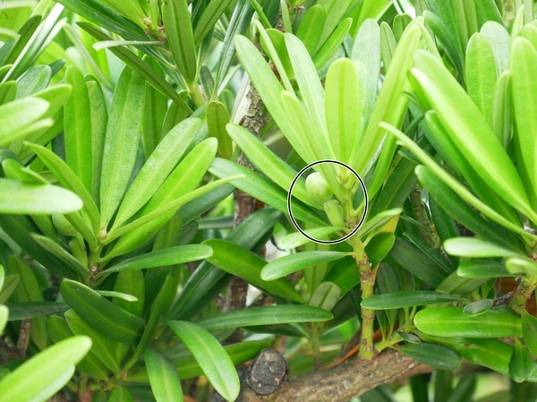 cm20190226___625b7d48f414ad00d7015526c1b