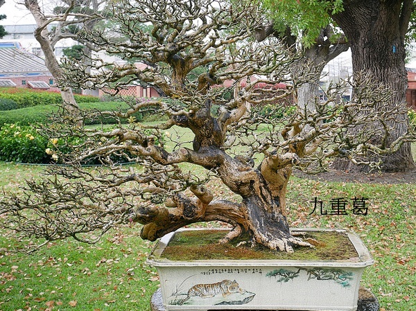 cm20190226___62952577faf699885aa906f506f